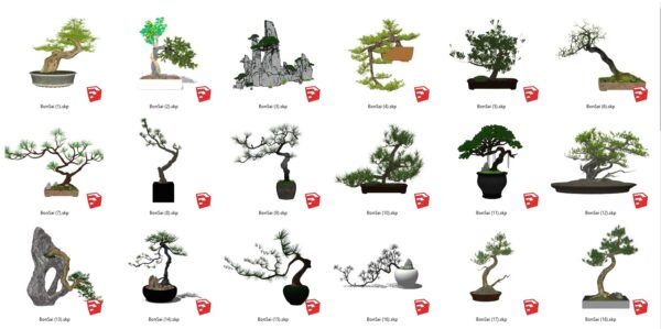PREMIUM High-Qulity BonSai Tree SKP Model Download (56-1)
