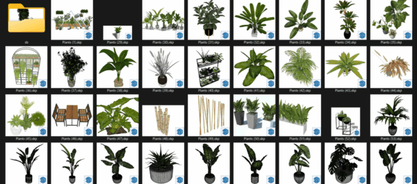 PREMIUM High-Quality Plants Trees SKP Models (69-1) Download